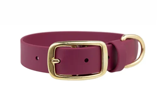 obroza-na-dziurki-metalowa-klamra-elegant-mosiezne-biothane-accdog