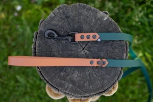 Smycz miejska Biothane® Rainbow