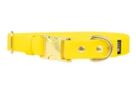 obroza-metalowa-klamra-zatrzaskowa-yellow-mosiezne-biothane-accdog