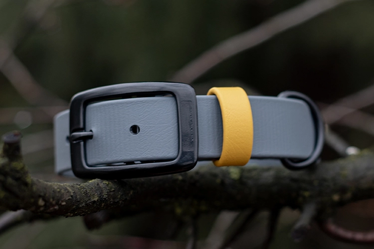 Obroża Biothane® Rainbow