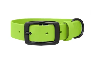obroza-na-dziurki-metalowa-klamra-dog-collars-biothane-wodoodporna-apple-green-zielona-czarna-accdog-750