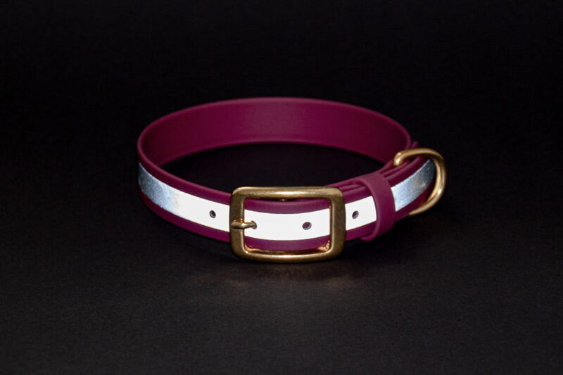 obroza-reflective-metalowa-klamra-elegant-accdog-31