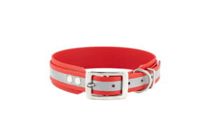 obroza-reflective-greyhound-stal-nierdzewna-classic-red-biothane-accdog-2
