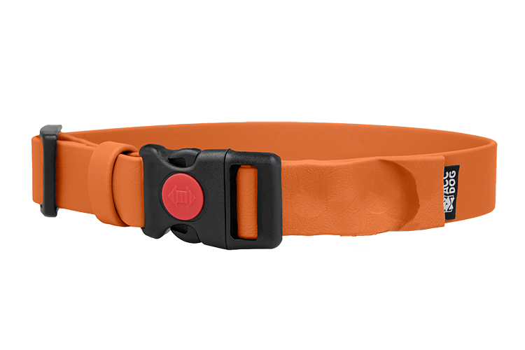 Obroża Biothane® z klamrą Safety Click jednokolorowa