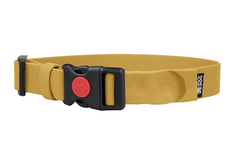 Obroża BioThane® z klamrą Safety Click