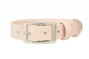 obroza-na-dziurki-metalowa-klamra-beige-srebrne-chromowane-biothane-accdog-750
