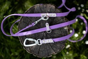 Smycz FREE HANDS Biothane® Rainbow