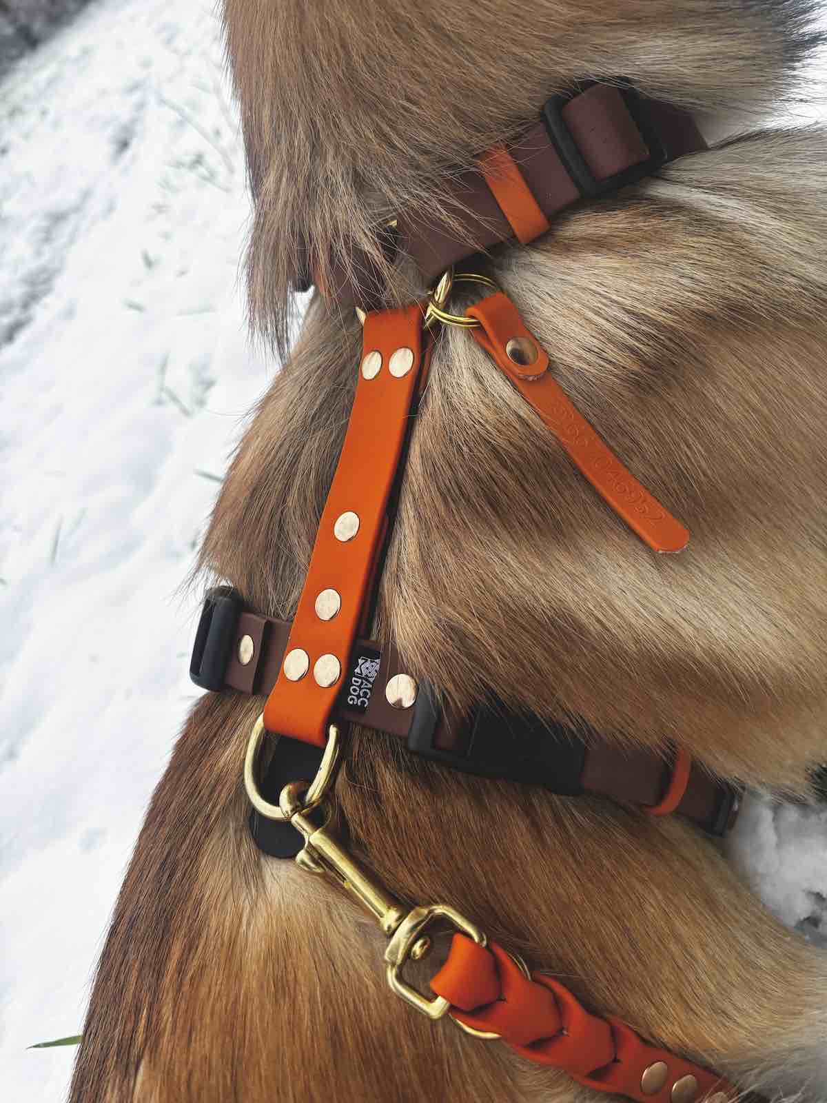 Szelki Biothane® Rainbow - obrazek 4