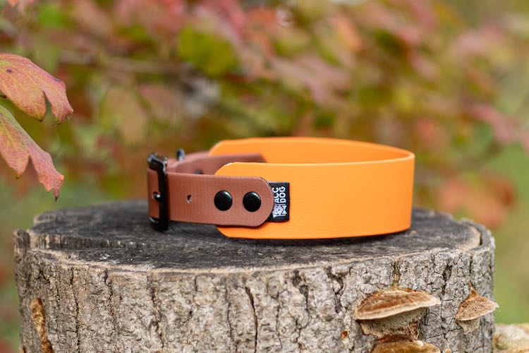 Obroża Biothane® Greyhound Pumpkin