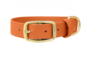 Obroża Biothane® Pumpkin