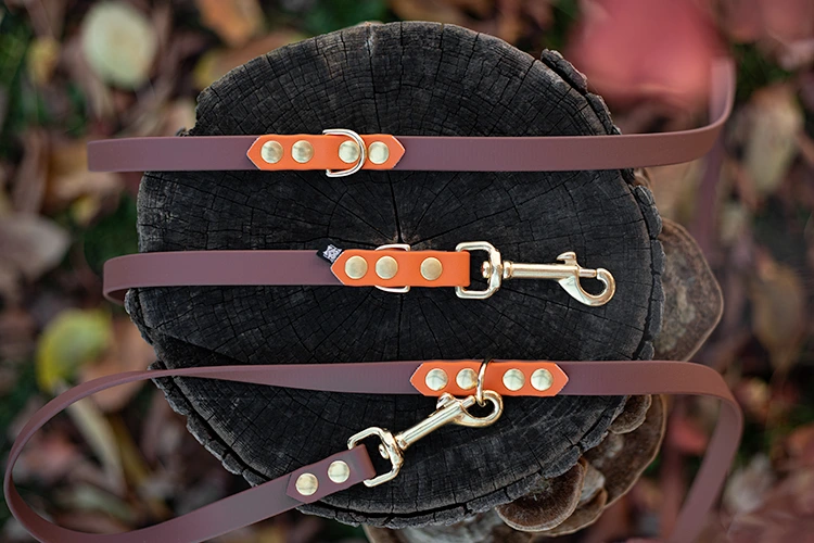 Personalizowane akcesoria dla psa – konfigurator ACCDOG