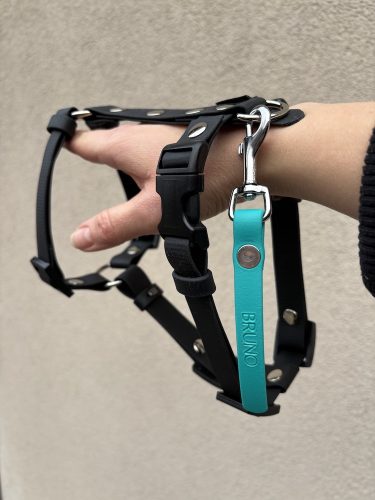 Adresówka Biothane® - Kółko srebrne