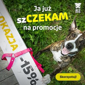 Ja już czekam na promocję – ACCDOG