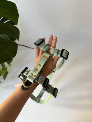 Szelki Biothane® Sage Green roz. M szer. 25 mm, okucia mosiężne
