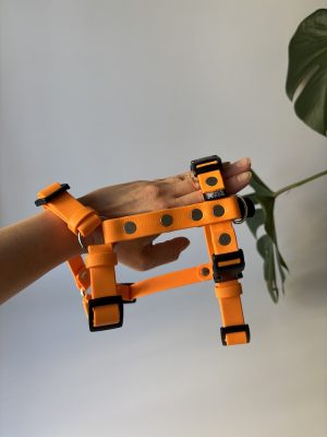 Szelki Biothane® Orange roz. S szer. 19 mm, okucia chromowane