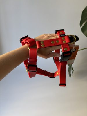 Szelki Biothane® Classic Red roz. M szer. 25 mm, okucia mosiężne