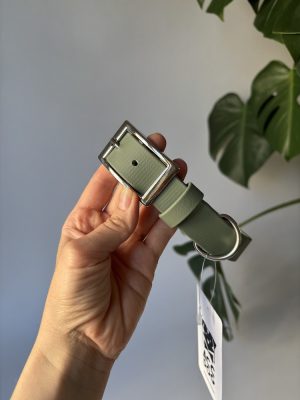 Obroża dla psa Foggy Green XXL | 25 mm | 50-58 cm