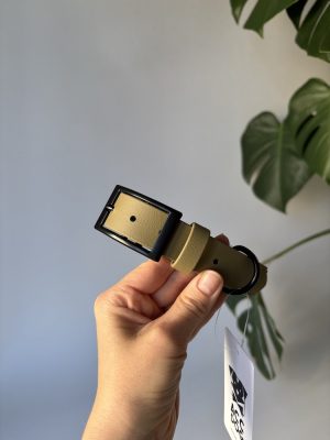 Obroża dla psa Khaki L | 25 mm | 38-46 cm