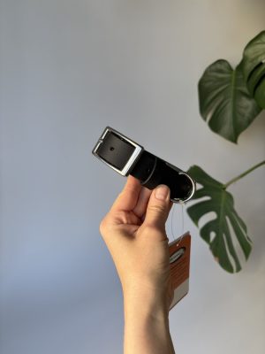 Obroża dla psa Black M | 25 mm | 32-40 cm