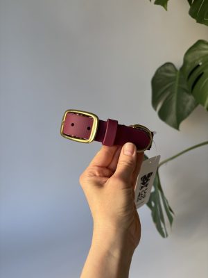 Obroża dla psa Elegant M | 25 mm | 31-39 cm