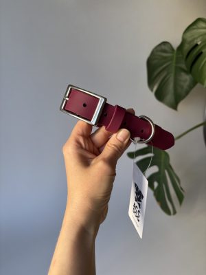 Obroża dla psa Elegant XXL | 25 mm | 47-57 cm