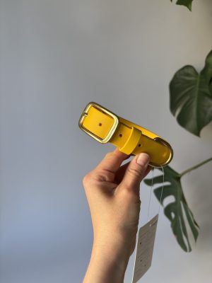 Obroża dla psa Yellow M | 25 mm | 30-40 cm