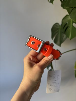 Obroża dla psa Neon Orange L | 25 mm | 38-46 cm