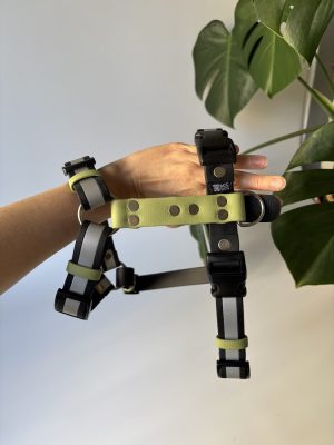 Szelki Biothane® odblaskowe Black // Avocado green roz. M szer. 25 mm, okucia chromowane