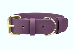 Obroża Biothane® 38 mm Auberigne