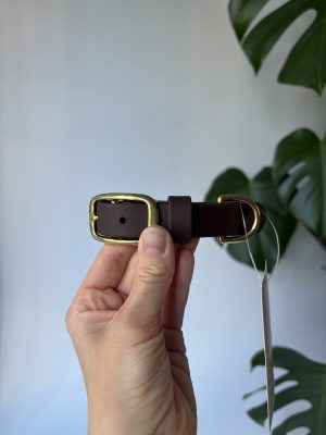 Obroża dla psa Dark Brown M | 19 mm | 32-40 cm