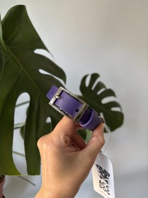 Obroża Biothane® Violet S | 19 mm | 25-35 cm