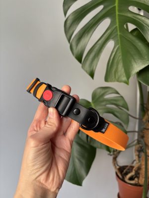 Obroża dla psa Safety Click Orange / Black L | 25 mm | 44-57 cm | Czarne