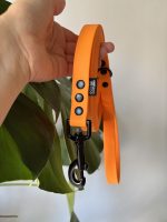 Smycz orange