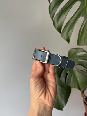 Obroża Greyhound Jeans XS | 38-25 mm | 25-35 cm | Stal nierdzewna