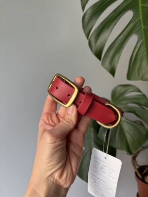 Obroża dla psa Crimson Red M | 25 mm | 32-40 cm | Mosiądz