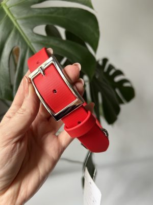 Obroża dla psa Classic Red L | 25 mm | 38-46 cm | Chromowane
