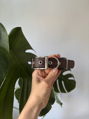 Obroża Greyhound Dark Brown S | 38-25 mm | 30-40 cm | Chrom