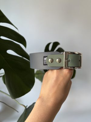 Obroża Greyhound Grey Cloud / Sage Green M | 38-25 mm | 35-45 cm | Chrom