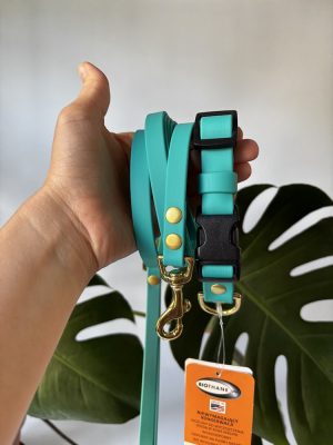 Gotowy zestaw Azure Sea | obroża XS 26-34 cm 19 mm+ smycz miejska 200/13 mosiężne