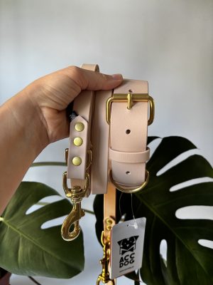 Gotowy zestaw Beige | obroża 35-45 cm 38 mm+ smycz przepinana 300/19 mosiężne