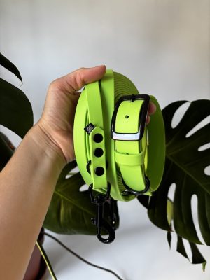 Gotowy zestaw Apple Green | obroża M 32-40 cm 25 mm+ smycz free hands 500/16 czarne