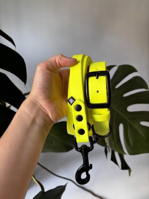 Gotowy zestaw Neon Yellow | obroża L 38-46 cm 25 mm+ smycz free hands 300/19 czarne