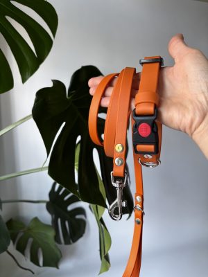 Zestaw Pumpkin | obroża XS 26-34 cm 19 mm+ smycz miejska 150/13 chromowane