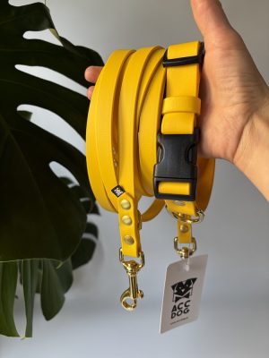 Zestaw Yellow | obroża S 32-40 cm 25 mm+ smycz przepinana 500/16 mosiężne