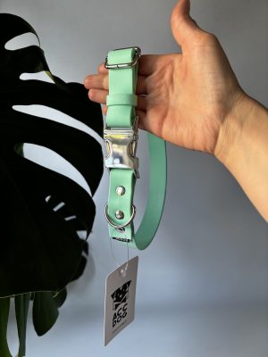 Obroża metalowa klamra Soft Mint L | 25 mm | 44-54 cm | srebrna