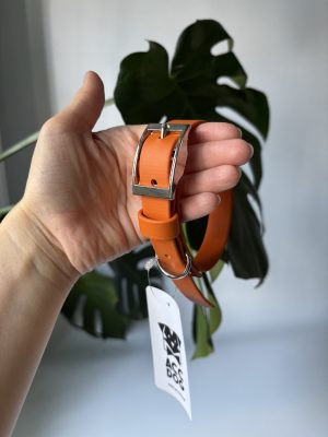 Obroża dla psa Pumpkin M | 19 mm | 30-40 cm | Chromowane