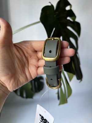 Obroża dla psa Foliage Green S | 19 mm | 25-35 cm | Mosiężne