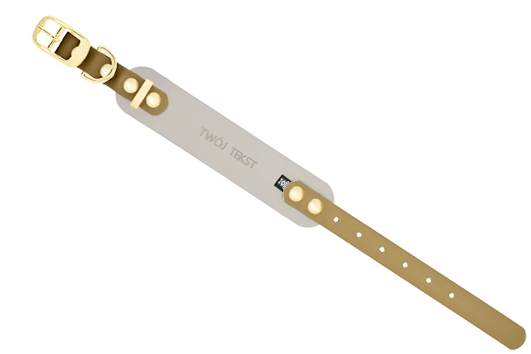 Obroża BioThane® Rainbow Greyhound 38 mm