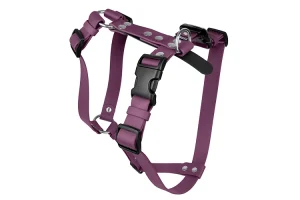 Szelki Biothane® Aubergine · M - 25 mm · Chromowane
