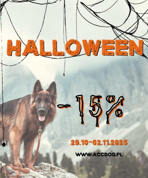 1200x628 (1200 x 1200 px) (1200 x 1200 px)